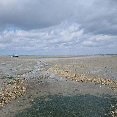Haus Pudelwohl - Hundefreundliches Ferienhaus An Der Nordseekueste Sehestedt  Dış mekan fotoğraf