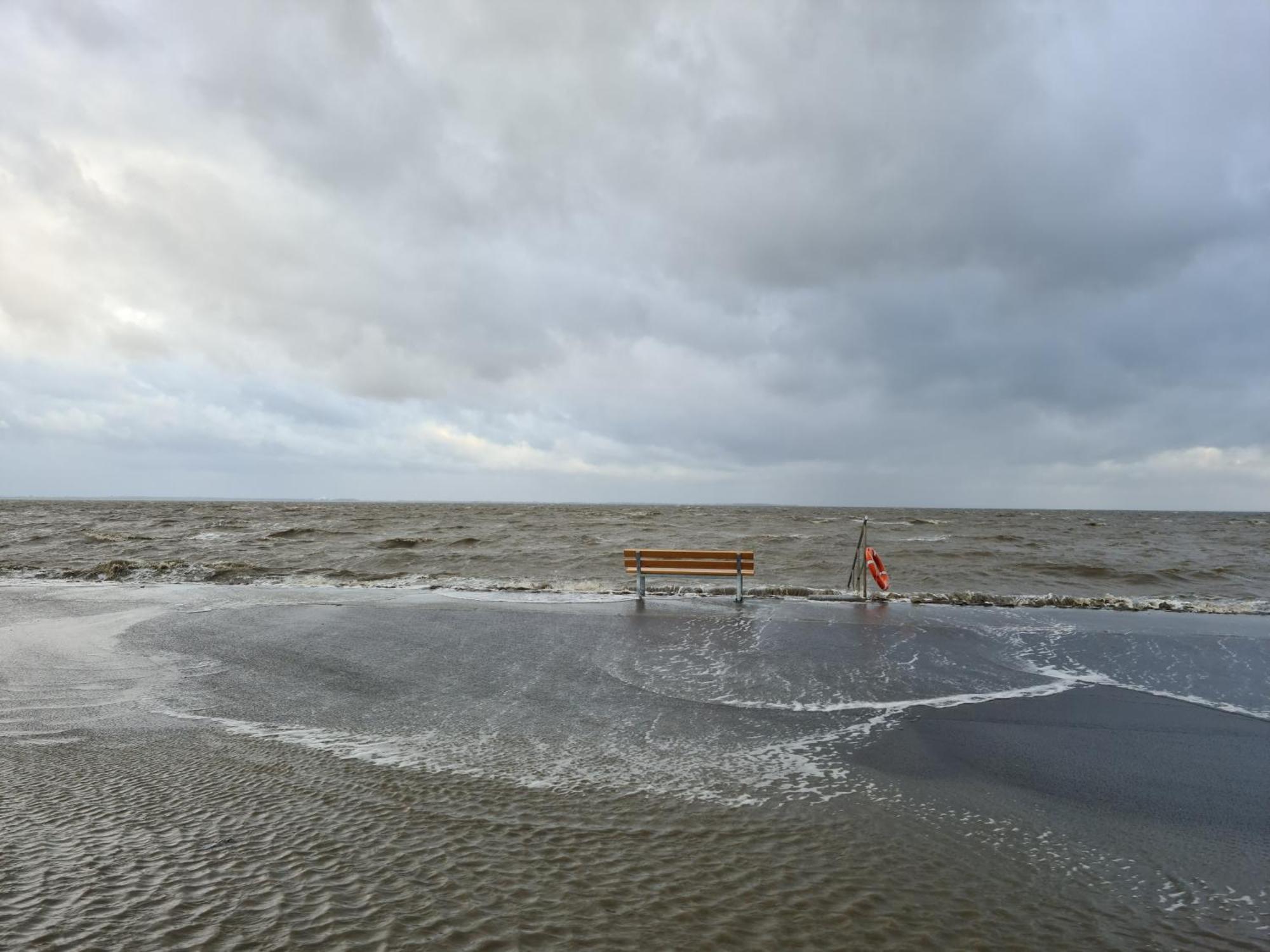 Haus Pudelwohl - Hundefreundliches Ferienhaus An Der Nordseekueste Sehestedt  Dış mekan fotoğraf